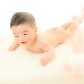 Petit Pas プラン